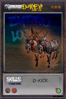 D-Key