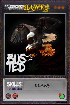 Hawky